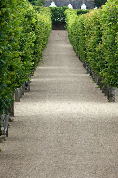 Splendid, decorative gardens at castles in France — Stock Photo, Image