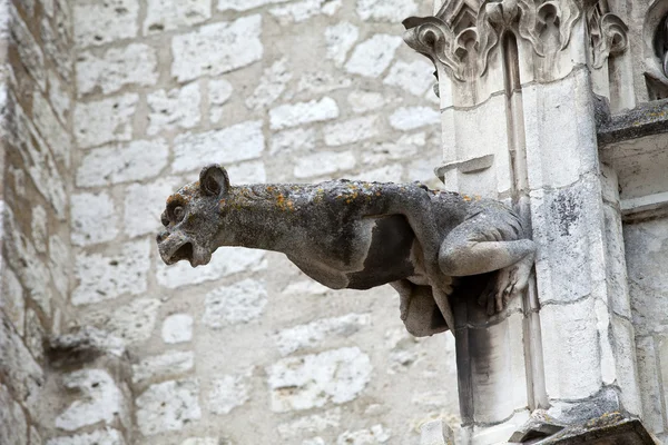 Gárgola en la catedral de San Luis en Blois, Valle del Loira Francia —  Fotos de Stock