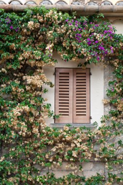 Closed window surrounded by flowers clipart