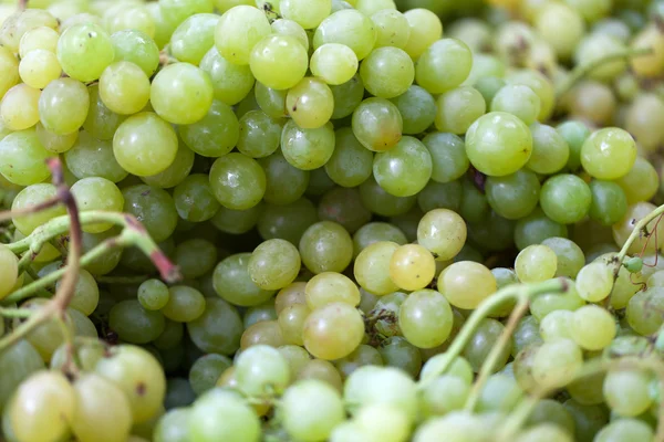 Background of freshly white grapes — Stock Photo, Image