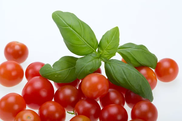 Fresh cherry tomatoes with basil, on white background Stock Picture