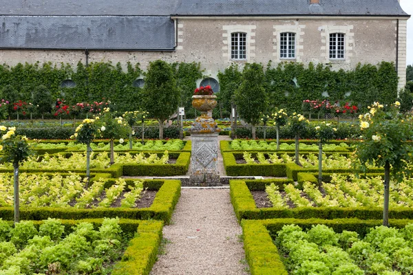 Köksträdgård i Chateau de Villandry. Loire Valley, Frankrike — Stockfoto
