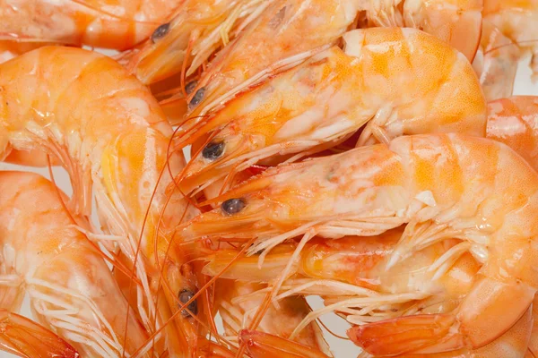 Fresh shrimp  isolated on a white background — Stock Photo, Image