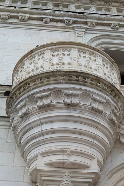 Castelo de chenonceau . — Fotografia de Stock