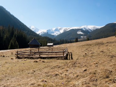 chocholowska Vadisi Batı tatras, Polonya