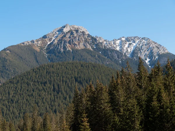 Chocholowskan laakso Länsi-Tatrasissa, Puola — kuvapankkivalokuva