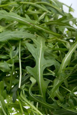ruccola yaprak yığını