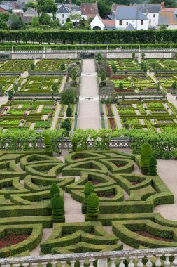 Villandry Şatosu 'ndaki mutfak bahçesi. Loire Vadisi, Fransa