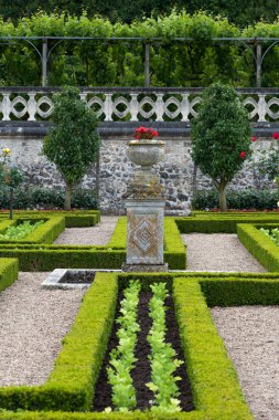 Villandry Şatosu 'ndaki bahçe. Loire Vadisi, Fransa