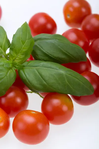 Fresh cherry tomatoes with basil, on white background — Stock Photo, Image