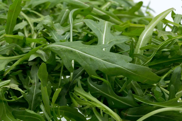 Cumulo di foglie di ruccola isolato su sfondo bianco — Foto Stock