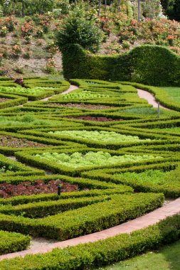 ince, sofistike ve tam lezzet Bahçe ve chateau la chatonniere villandry yakınında. Loire Vadisi