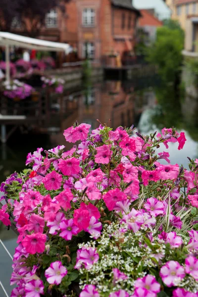 Yarı ahşap evleri, colmar, alsace, Fransa — Stok fotoğraf