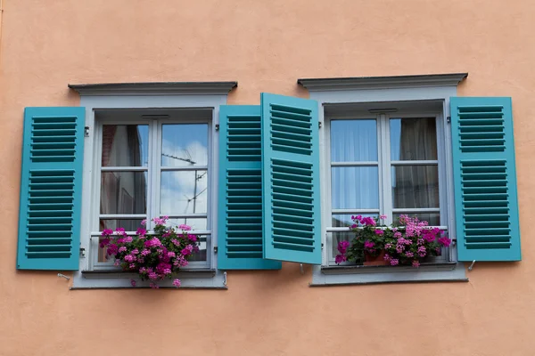 Fenster mit Fensterläden und Blumentöpfen — Stockfoto