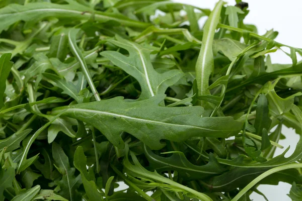 Cumulo di foglie di ruccola — Foto Stock