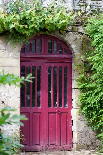 Ancient red door with grapevine — Stock Photo, Image