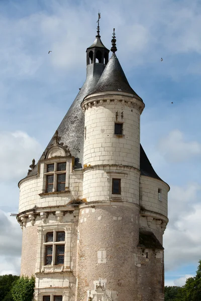 Schloss von chenonceau. — Stockfoto