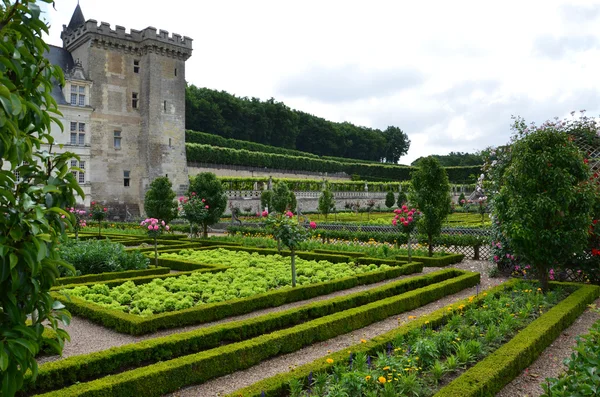 Giardini e Chateau de Villandry in Valle della Loira in Francia — Foto Stock