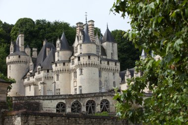 rigny-usse Castel