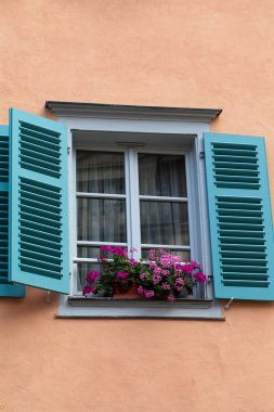 pencere Panjur ve saksı ile