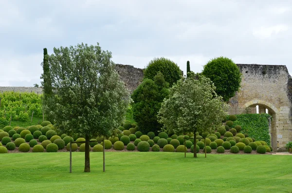 Jardins no castelo de Amboise. Vale do rio Loire. França — Fotografia de Stock