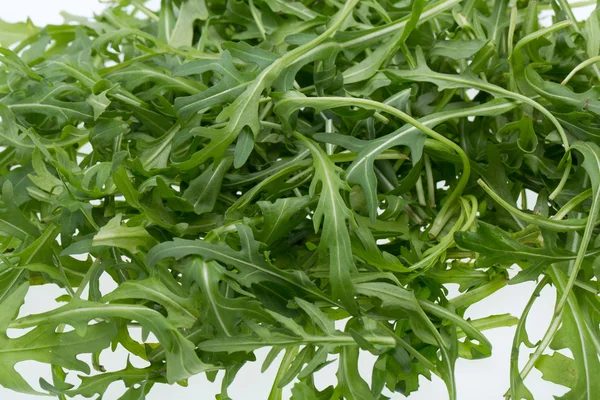 Högen av ruccola blad — Stockfoto