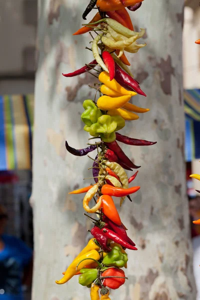 Chiles picantes multicolores en Mallorca —  Fotos de Stock