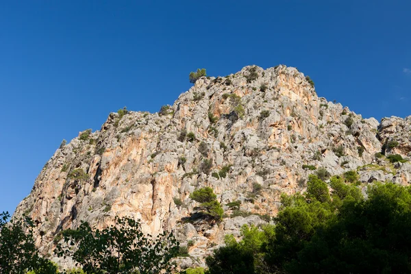 Torrent de pareis - sa calobra bay i Mallorca Spanien — Stockfoto