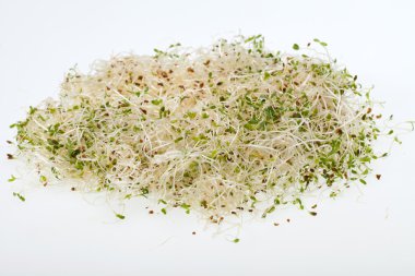 Sağlıklı beslenme. Beyaz arkaplanda taze filizler izole edildi