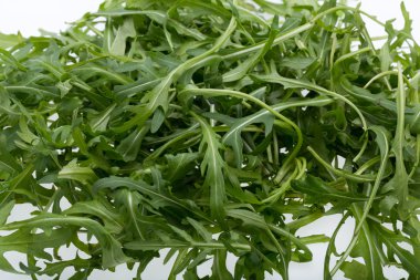 ruccola yaprak yığını