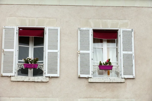 White windows with shutters and flower pot — Stock Photo, Image