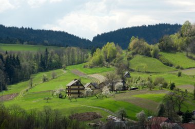Pastoral kırsal görünümü yavaşça haddeleme patchwork tarım arazisi
