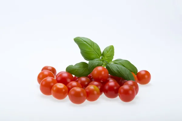 Tomates cherry frescos con albahaca, sobre fondo blanco — Foto de Stock