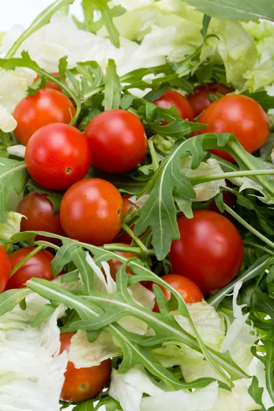 Haufen Ruccola, Salatblätter und Kirschtomaten — Stockfoto