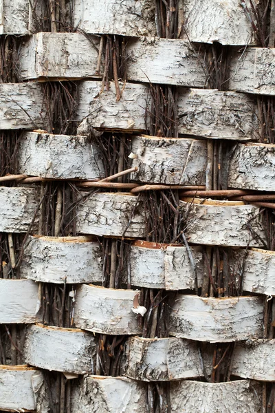 El fondo de troncos de abedul cortados — Foto de Stock
