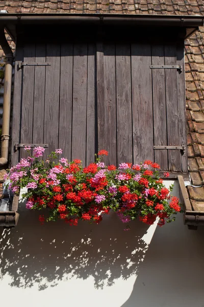 Ventana de una casa en Eguisheim, Alsacia, Francia —  Fotos de Stock