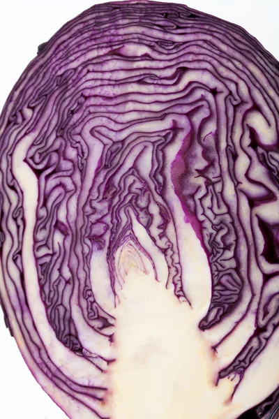 Red Cabbage cross section on White Background — Stock Photo, Image