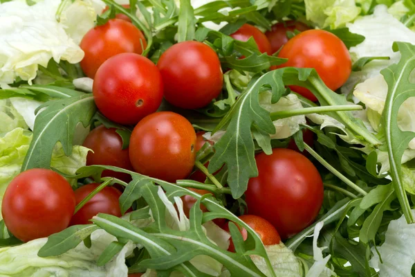 Tas de ruccola, feuilles de laitue et tomates cerises — Photo