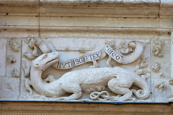 Salamandra de Francisco I. Castelo Azay-le-Rideau no Vale do Loire, França — Fotografia de Stock