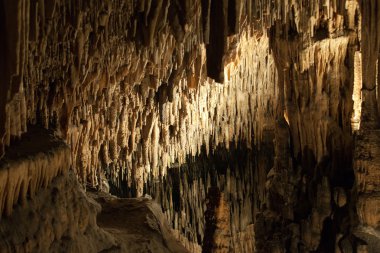 Bir sürü dikit ve sarkıt olan Drach mağaraları. Mayorka, İspanya
