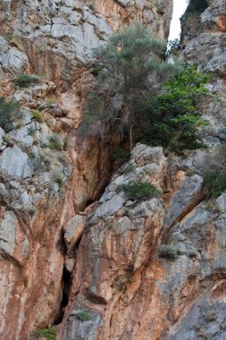 sel de pareis - sa calobra majorca İspanya'da defne