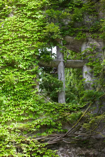 포도 덩굴 성의 창의와 형태가 이루어지지 않은. 루아르 계곡 — 스톡 사진