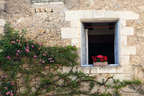 Fönster med blommor av geranium och rosor — Stockfoto
