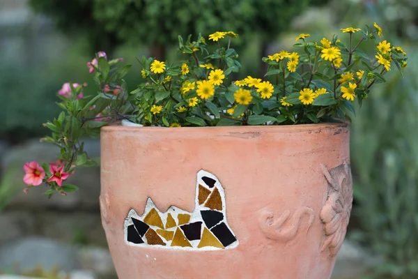 Flores amarelas e rosa no vaso de cerâmica — Fotografia de Stock