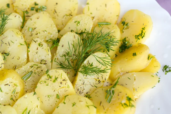 Lahodné vařené brambory s koprem a olivou — Stock fotografie