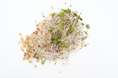 Sağlıklı beslenme. Beyaz arkaplanda taze filizler izole edildi