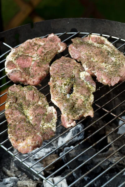 Barbecue with delicious grilled meat on grill — Stock Photo, Image