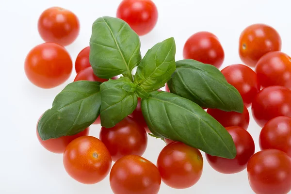 Fresh cherry tomatoes with basil, on white background — Stock Photo, Image