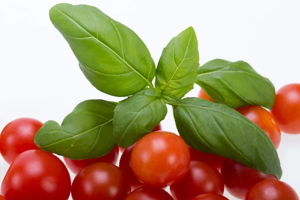 Fresh cherry tomatoes with basil, on white background — Stock Photo, Image