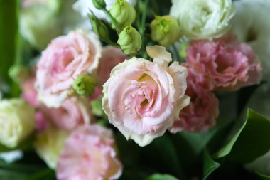 görkemli, büyük demet gül